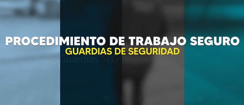 Instructivo Guardias de seguridad