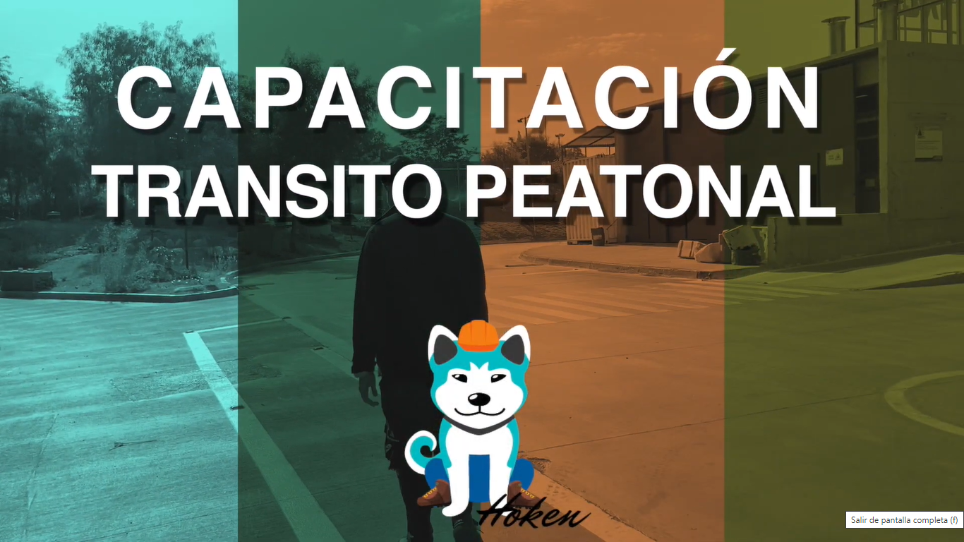 Tránsito Peatonal