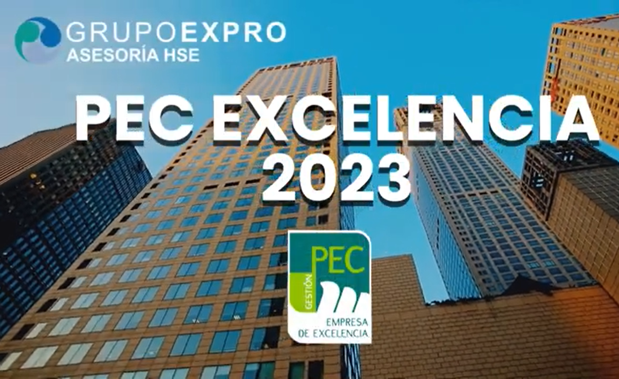 TIPS DE AUDITORÍA PEC EXCELENCIA