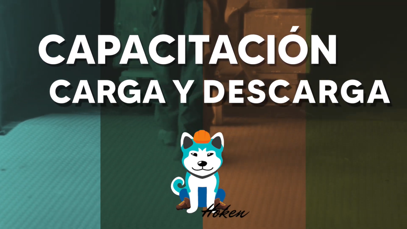 Carga y Descarga